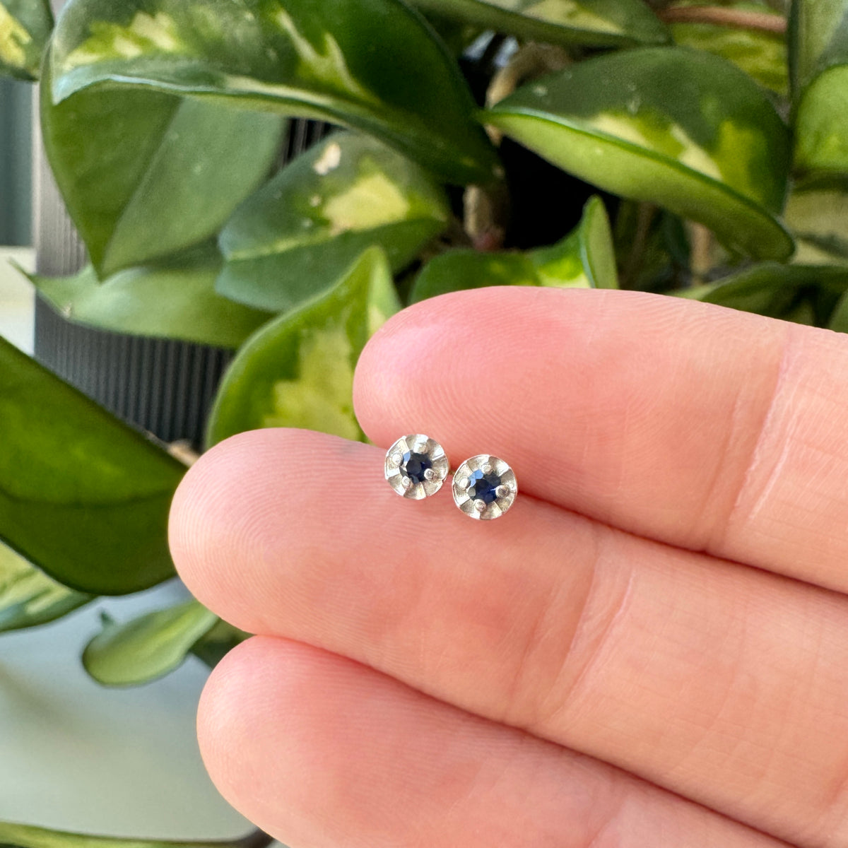 Tiny Star Studs - Natural Sapphire & Bright Sterling